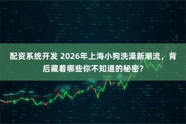 配资系统开发 2026年上海小狗洗澡新潮流，背后藏着哪些你不知道的秘密？